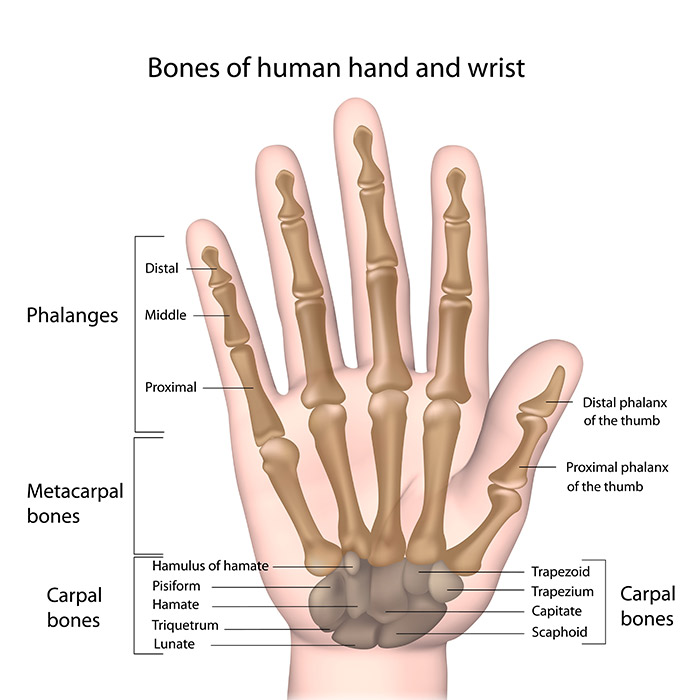 hand-img